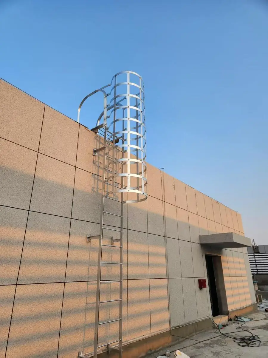Industrial fixed ladder for plants and power