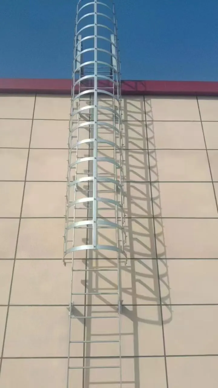 Fixed PFAS Safety System ladder — caged access configuration