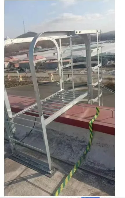 SS304 fixed library ladder beside book stacks