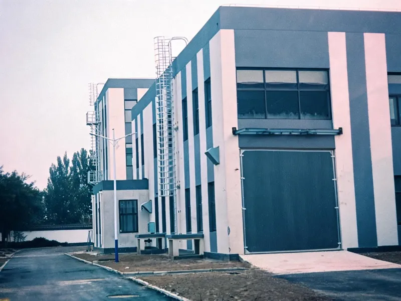 Dengtai fixed ladder built to customer drawings — factory installation