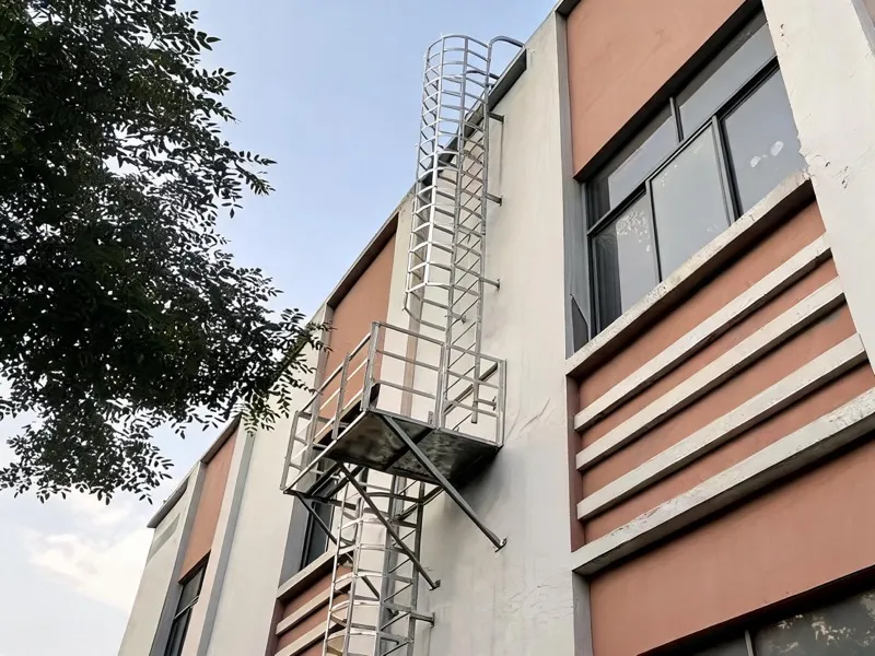 Dengtai fixed ladder — factory installation
